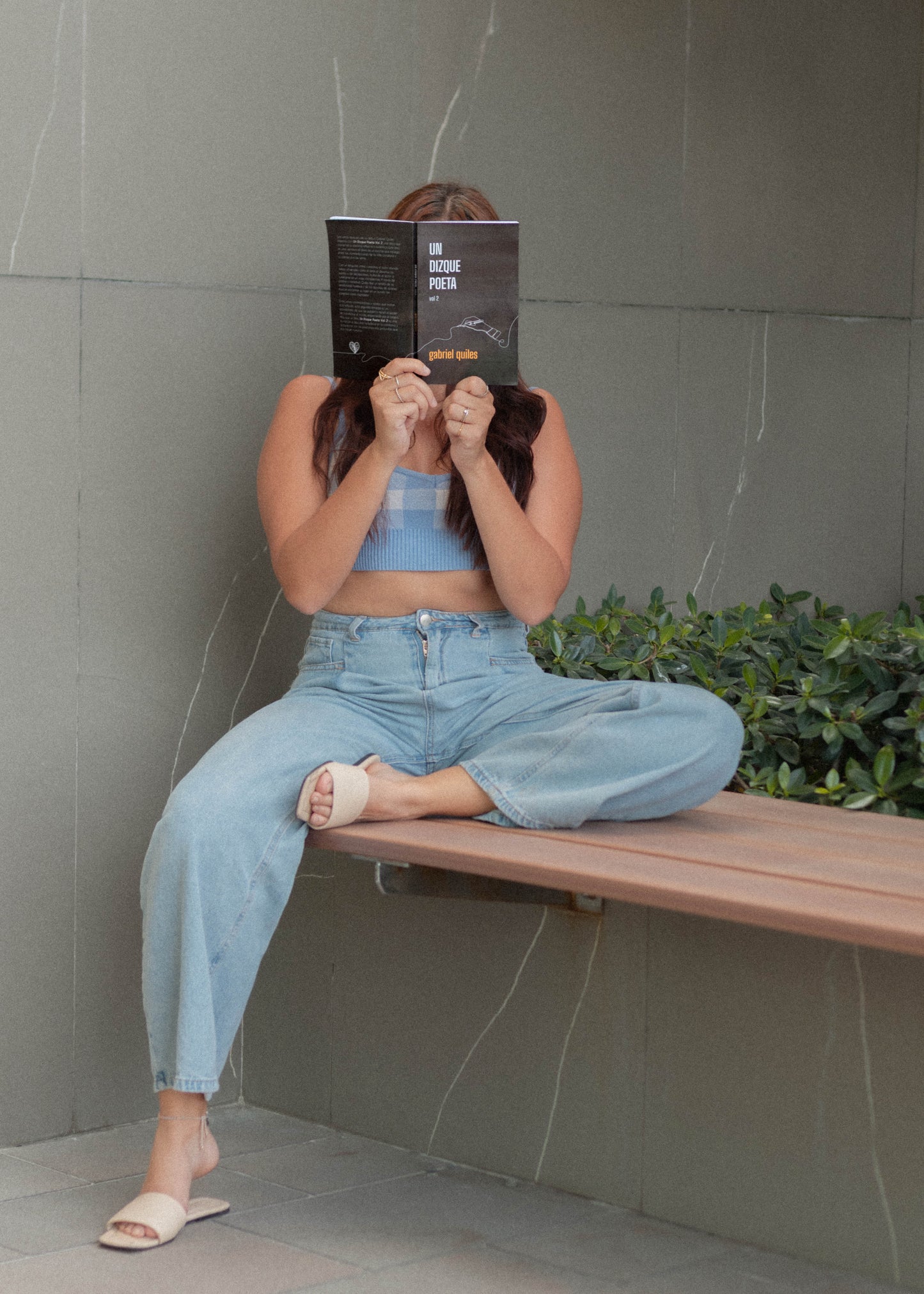 Un dizque poeta Vol. 2